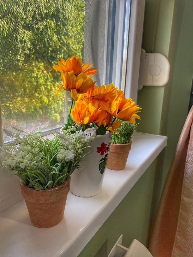 Apartman Diana Sremska Mitrovica Esterno foto